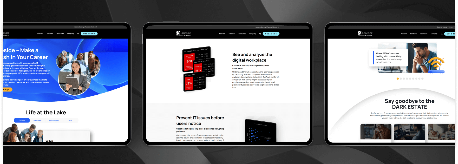 Lakeside Software - 004